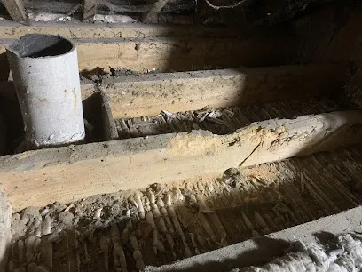 Image de Le Sommet de l'Habitat - Traitement Bois & des champignons à Soulaires et Chartres