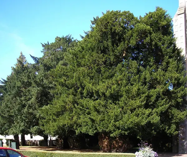 Coût Isolation Extérieure Coût isolation extérieure La Lande-Patry