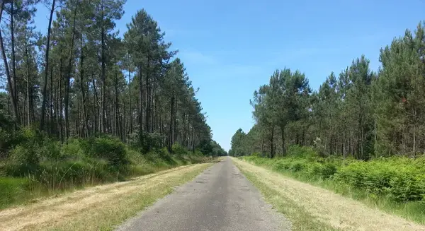 Coût Isolation Extérieure Coût isolation extérieure Maillas