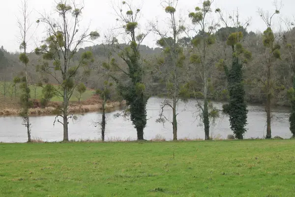 Coût Isolation Extérieure Coût isolation extérieure Muzillac