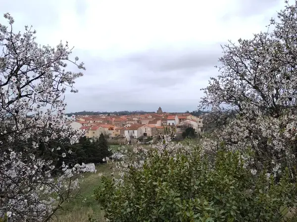 Coût Isolation Extérieure Coût isolation extérieure Trouillas